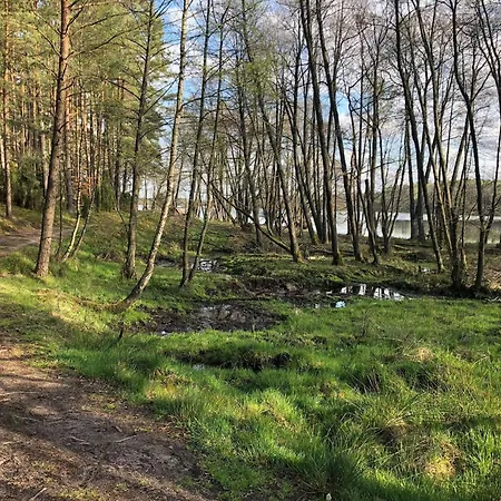 Kaszuby Wczasy U Danusi Sauna I Bania ロッジ Lipusz