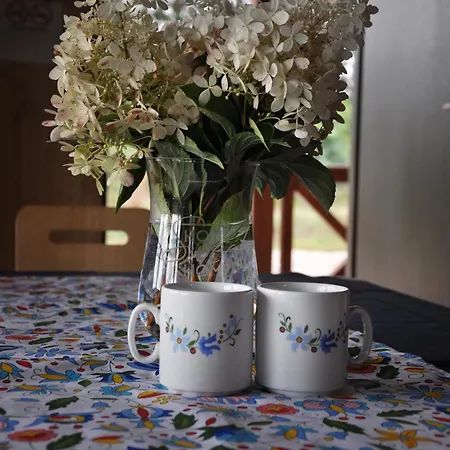 Kaszuby Wczasy U Danusi Sauna I Bania * Lipusz