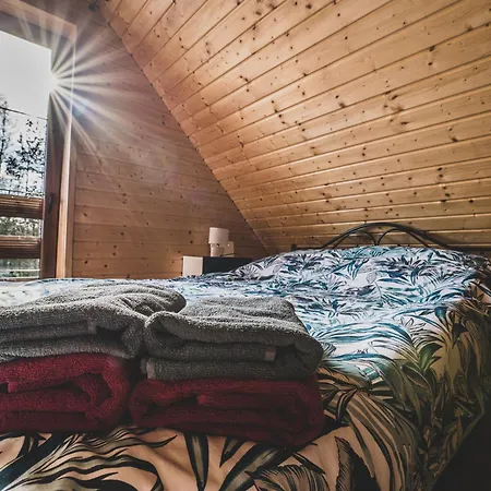 Kaszuby Wczasy U Danusi Sauna I Bania ロッジ