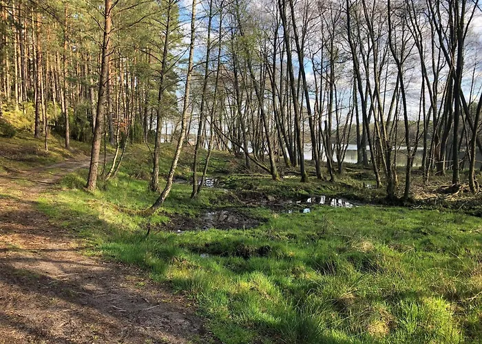 Kaszuby Wczasy U Danusi Sauna I Bania 롯지 Lipusz