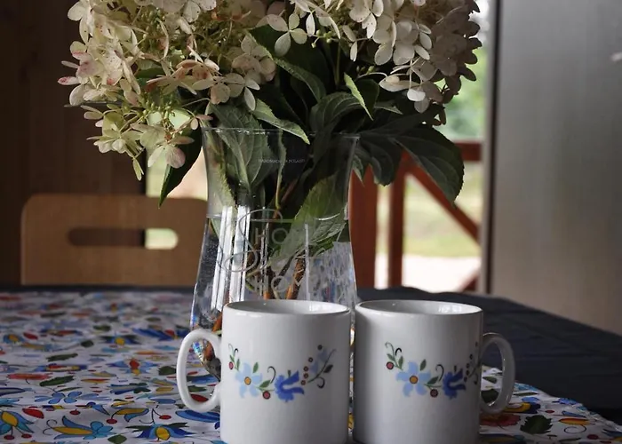 Kaszuby Wczasy U Danusi Sauna I Bania * Lipusz