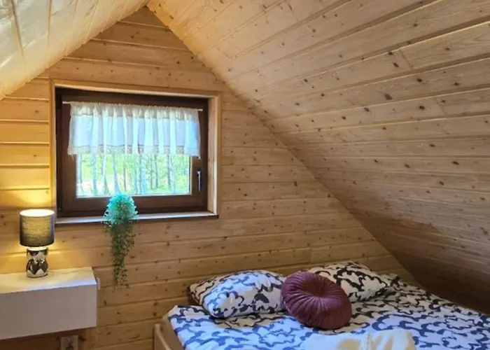 Kaszuby Wczasy U Danusi Sauna I Bania * Lipusz